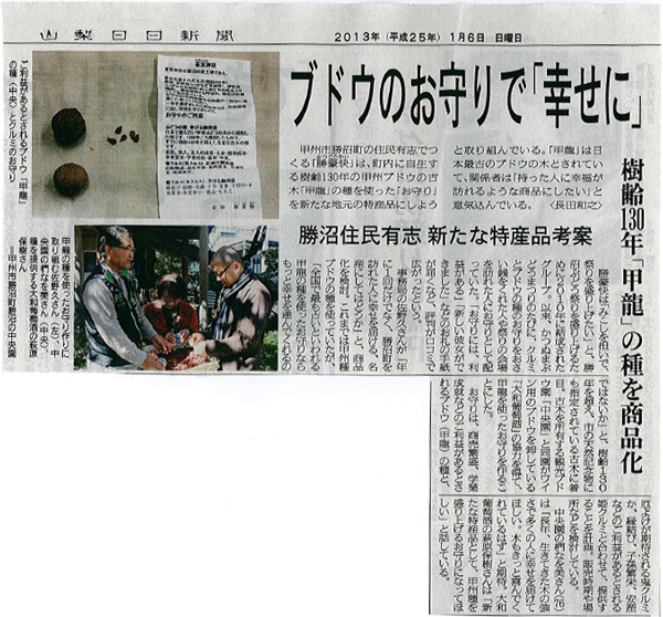 山梨日日新聞に「樹齢130年「甲龍」の種を商品化」が掲載されました